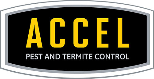 Accel Pest & Termite Control Logo